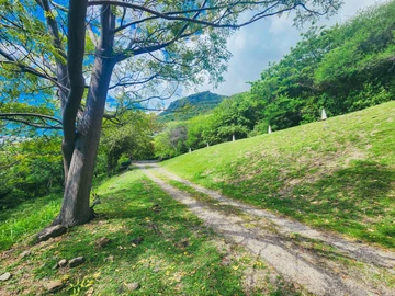 Residential Land