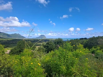 Residential Land