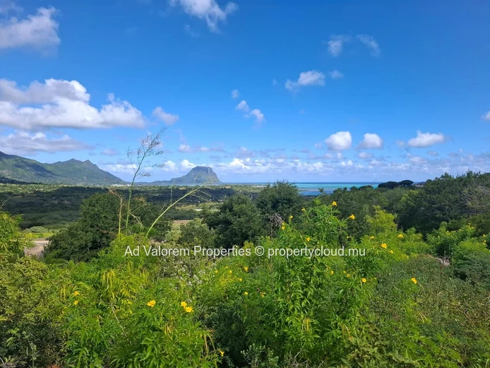 For Sale – Exceptional 4,431 m² Plot in Petite Rivière Noire