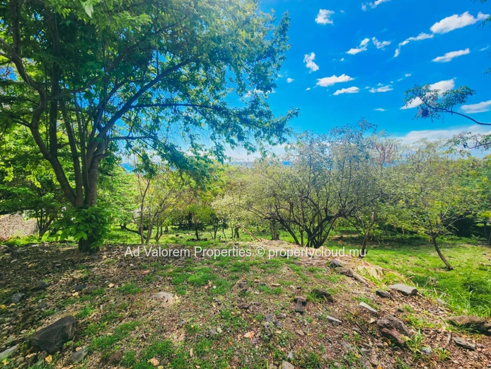 À vendre :Terrain à Rivière Noire