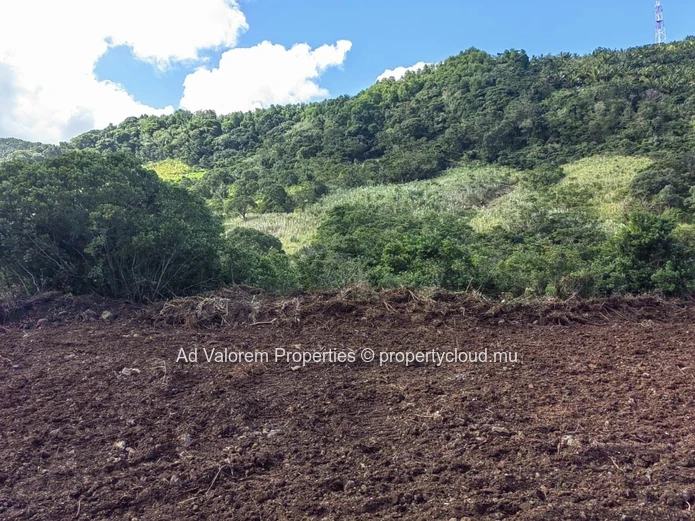 Large Agricultural Land for Sale – Martinière, Surinam – Panoramic Views & Natural Setting