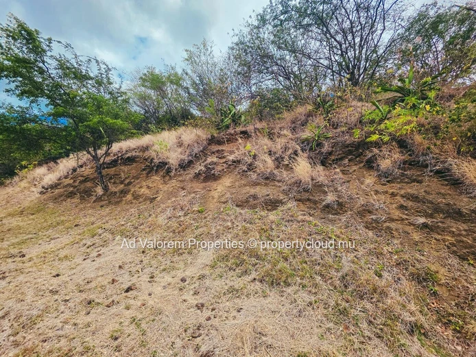 For sale land- Black River