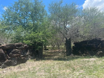 Residential Land