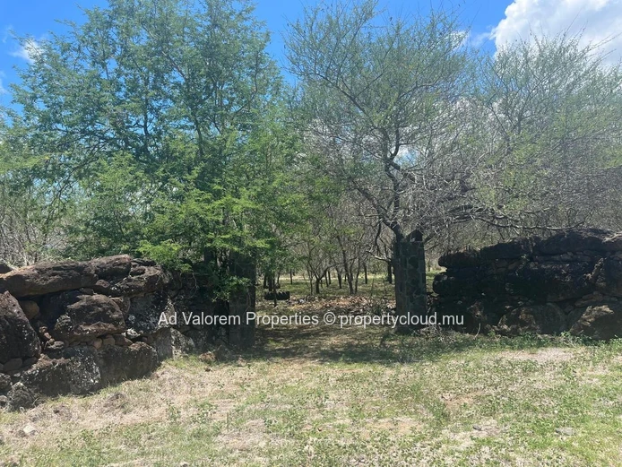 Land for sale in Black River.