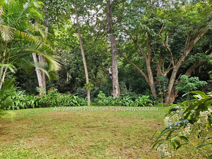 Beautiful 3-bedroom apartment for rent - Le Ravin, Moka